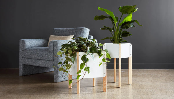 GUS Modern Atrium Planter Lo