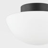 Mitzi Andrea Flush Mount