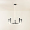 Mitzi Danna Chandelier