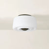 Mitzi Ciela Flush Mount