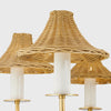 Mitzi Twila Chandelier