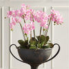 Napa Home & Garden Phalaenopsis Orchid Drop-In