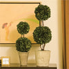 Napa Home & Garden Boxwood Double Sphere Topiary - 28"