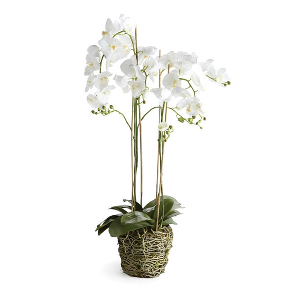 Napa Home & Garden Phalaopsis Orchid Drop-In