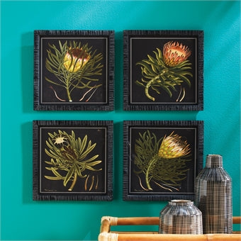 Napa Home & Garden Protea Petite Prints - Set of 4